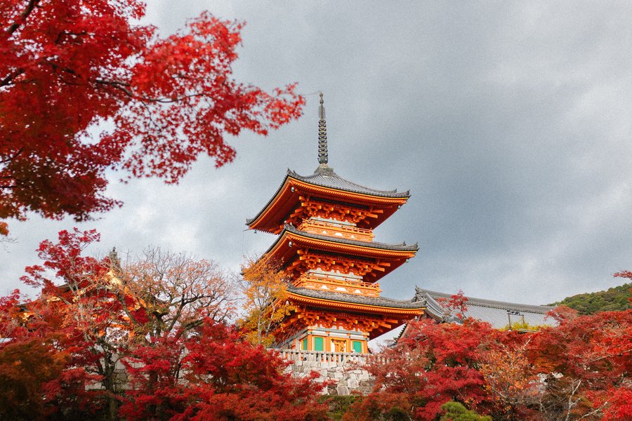 Pagoda del tempio Kiyomizu-dera fra gli aceri rossi, a Kyoto, in autunno