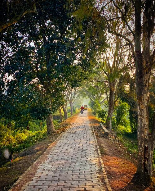 SoultoSoul . Guesthouse . Café . Wedding Venue . Yoga Teacher Training & Retreat . Yoga Cookbook . Mantra Music Album . Mayapur, WB, India . Accommodation ISKCON Mayapur