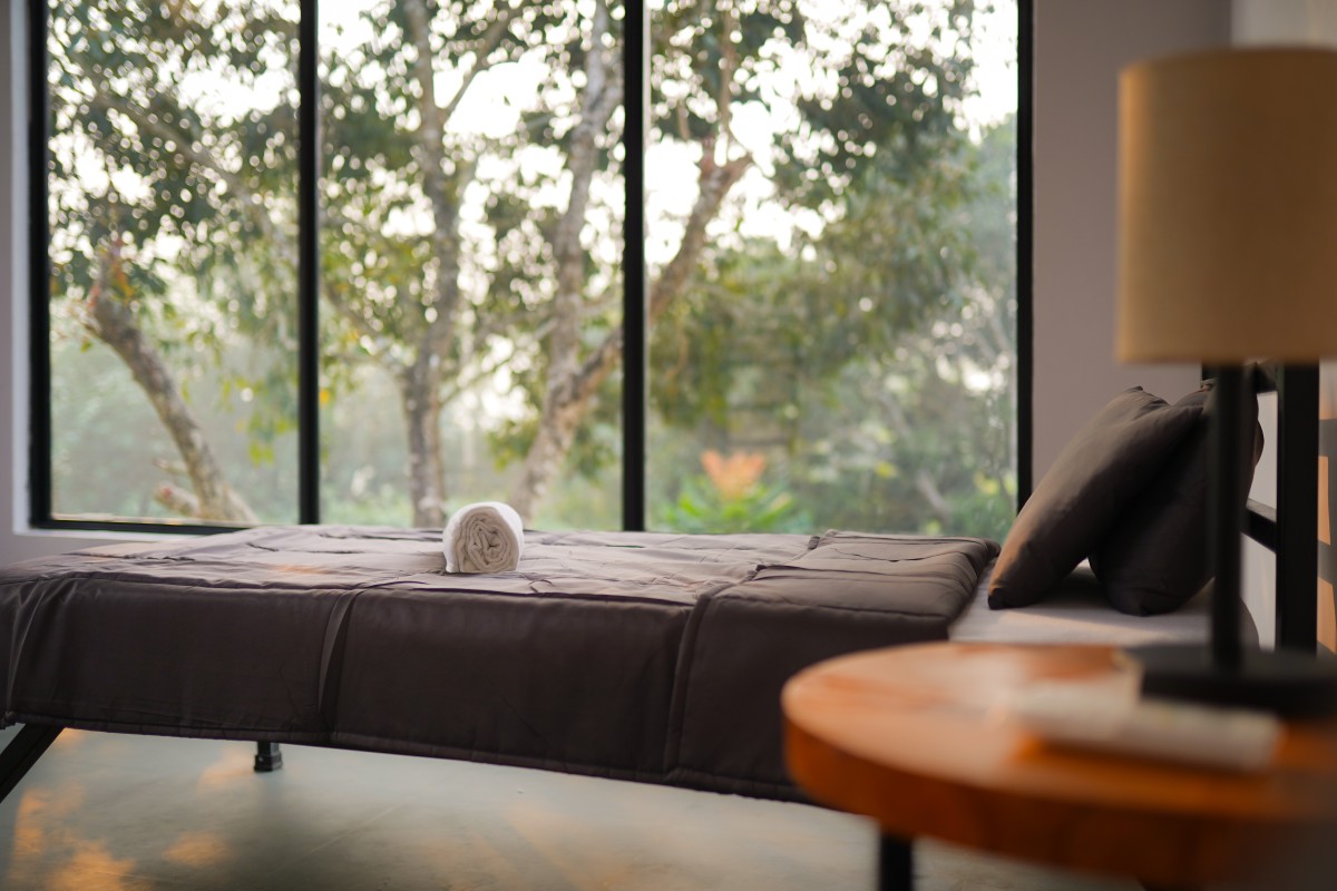 Bed with black bedding and rolled towel near large window with green trees outside.