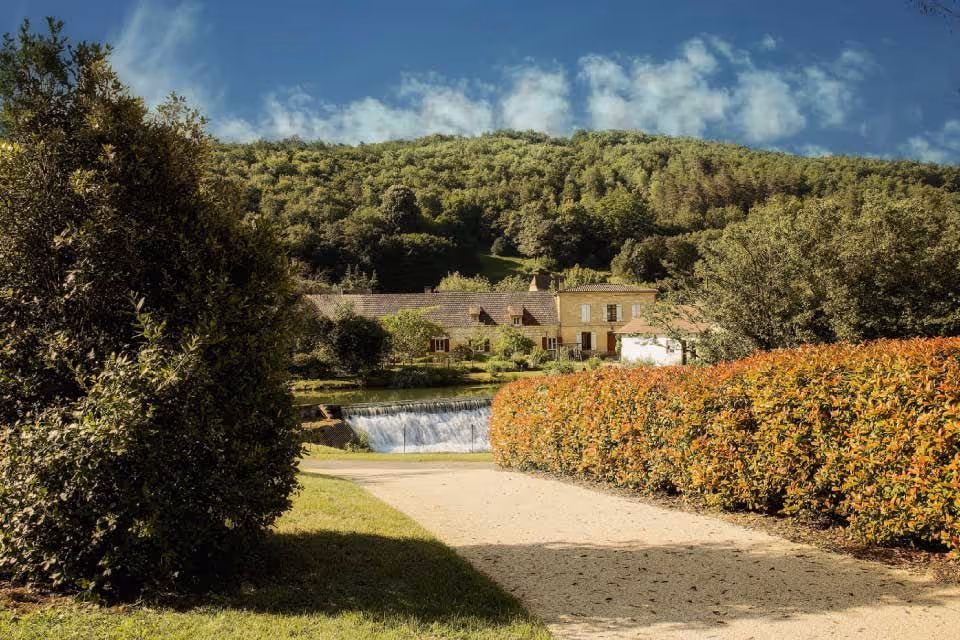 Comtesse de Dordogne