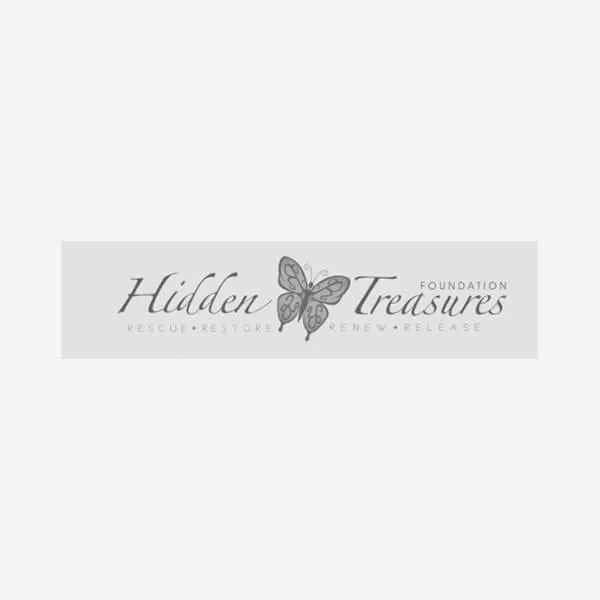 Hidden Treasures