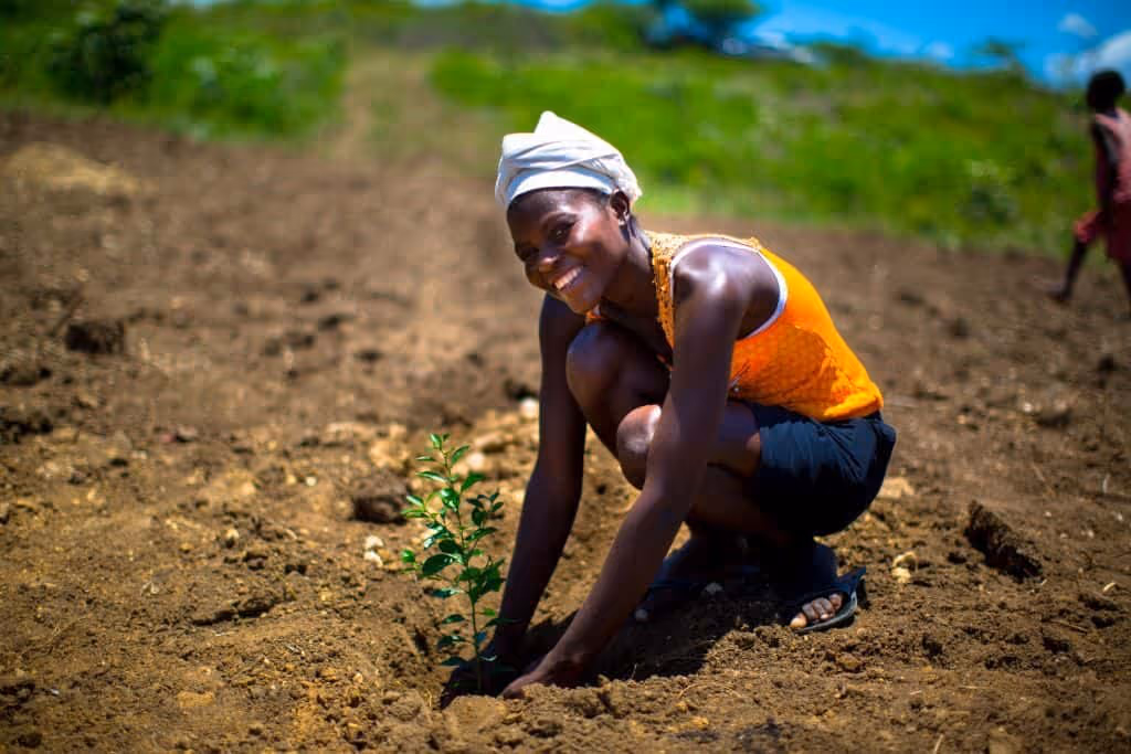 How Click A Tree closes more deals for the environment