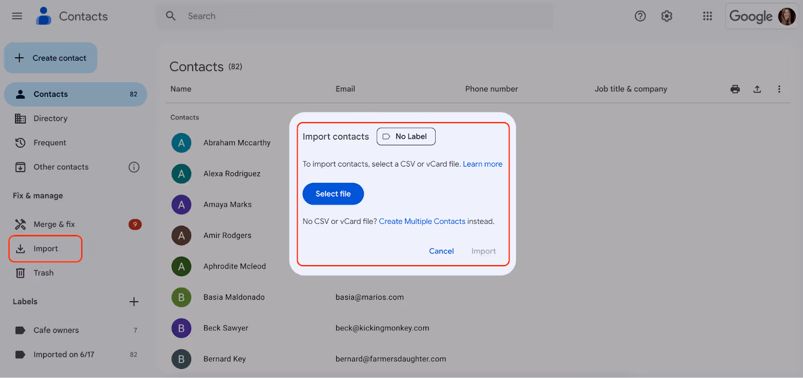 screenshot of Google Contacts page with highlighted Import contacts button at the left sidebar and opened Import contacts window