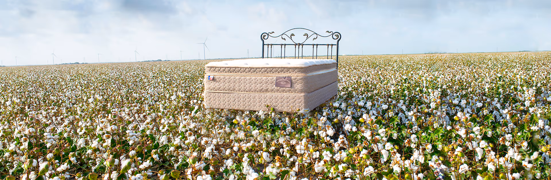 Cantwell Bed in the middle of a Cotton Field.