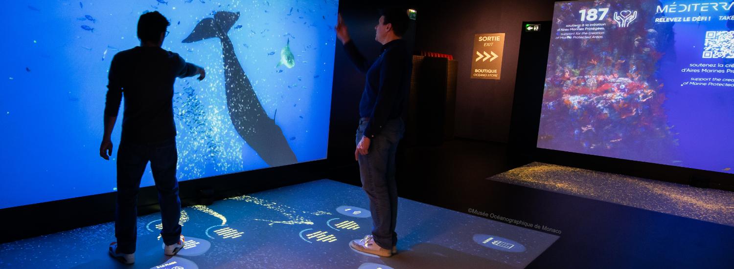 Méditerranée 2050, devenir acteur du futur