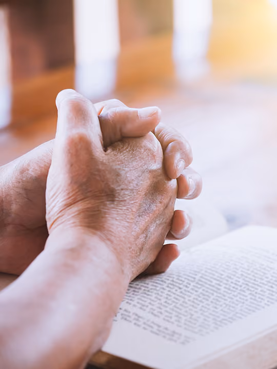 Praying Hands