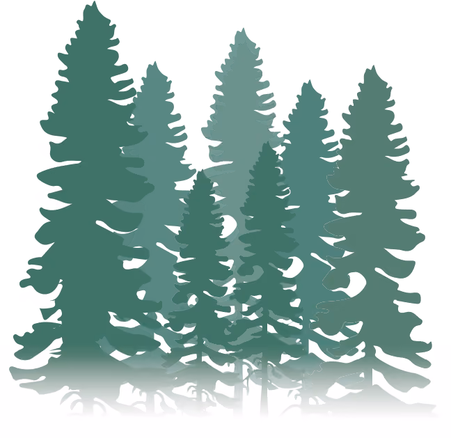 Background image of trees