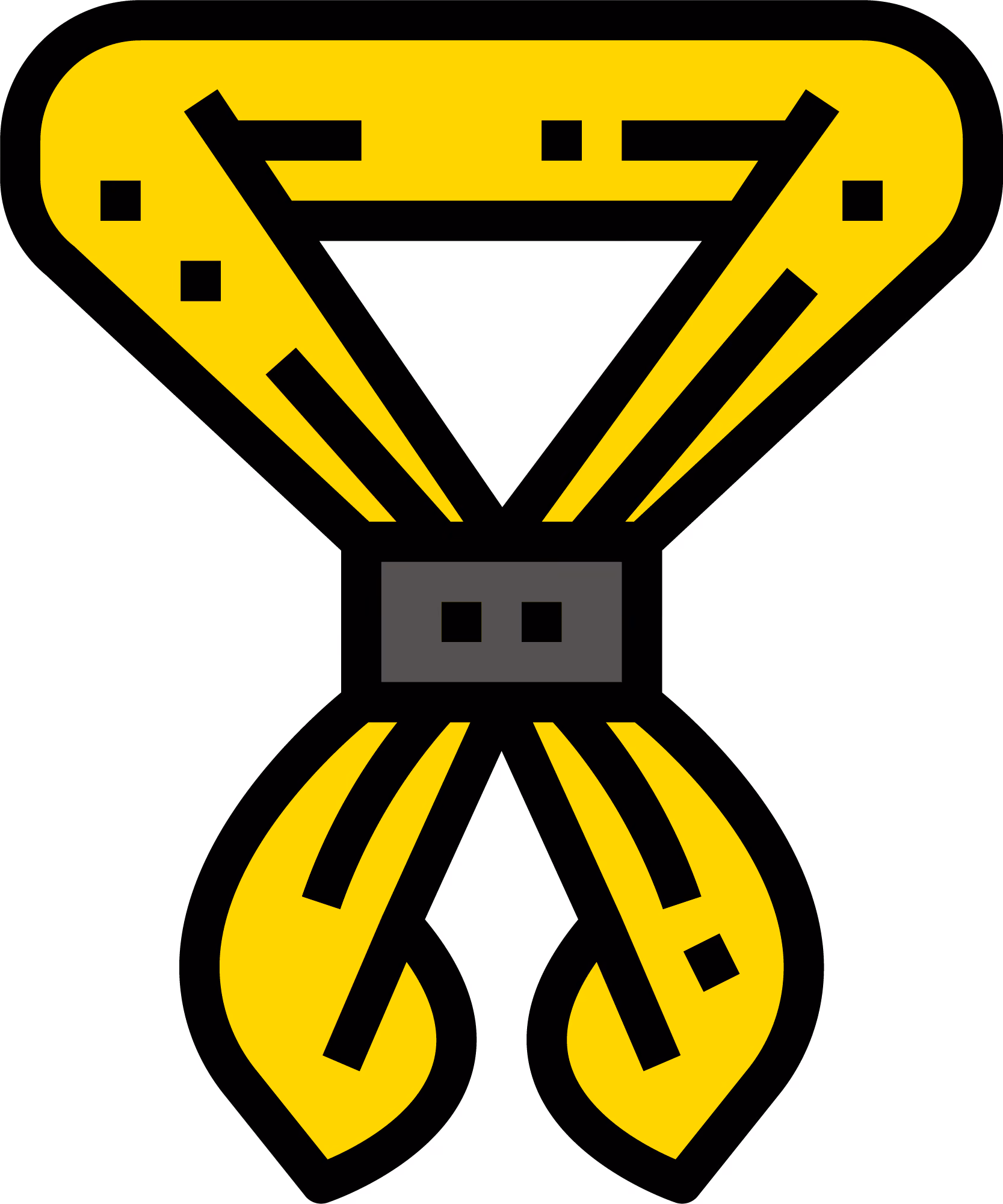 Pinterest icon
