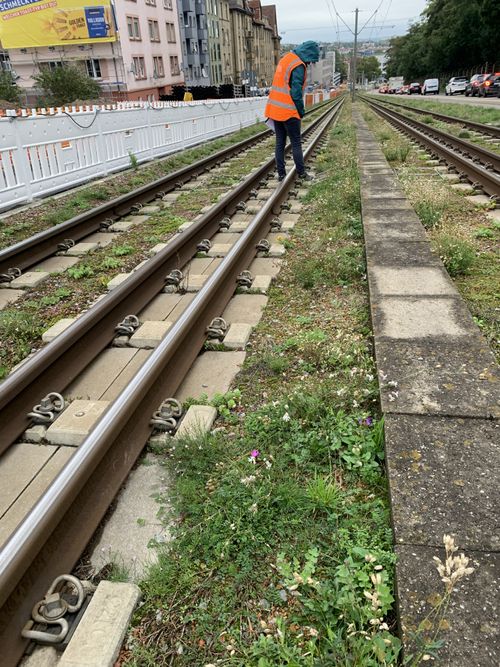 Green Tracks in Stuttgart