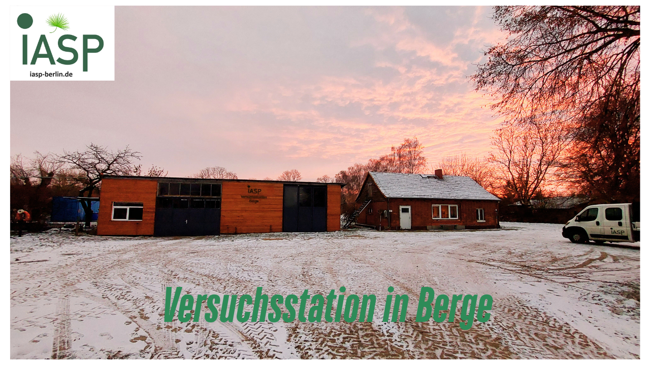 IASP wünscht frohe Festtage