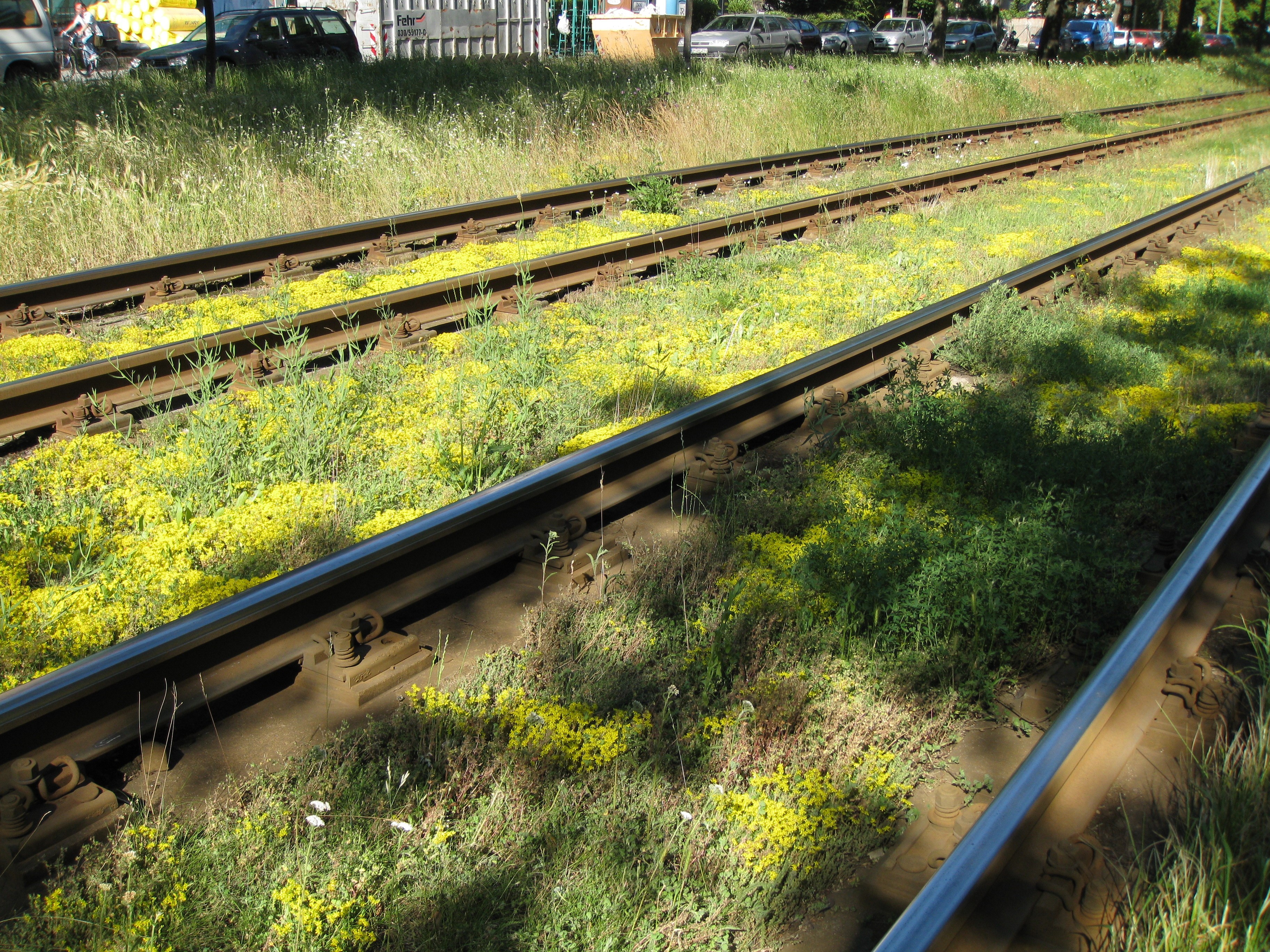 📗 Wort des Monats