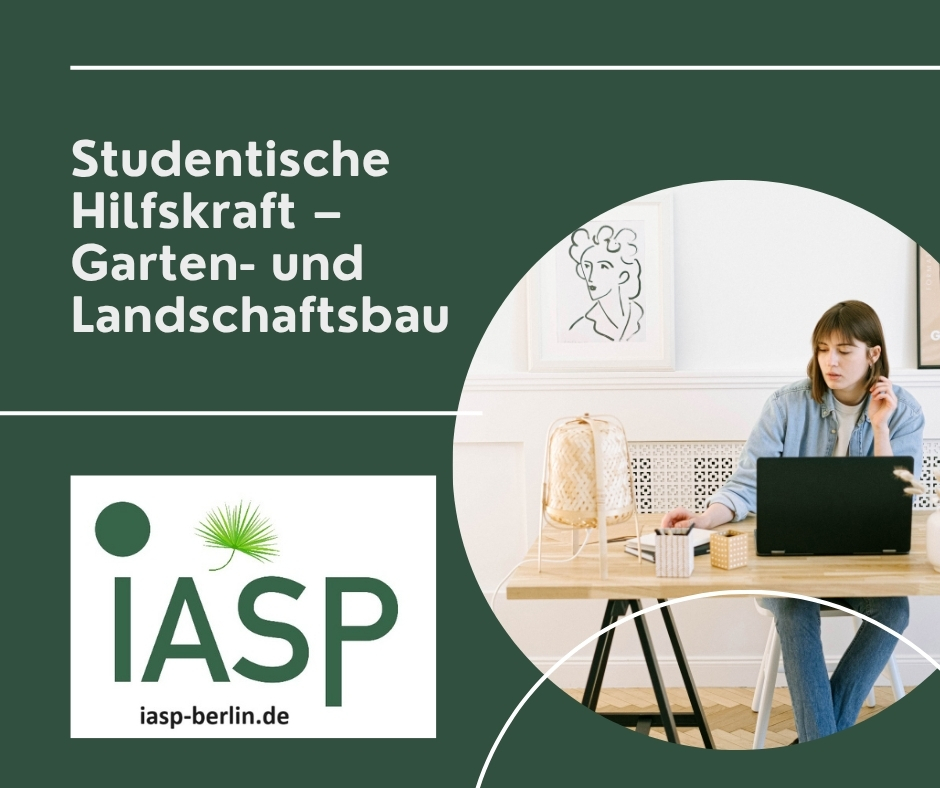 🔍 Jobangebot für Studierende