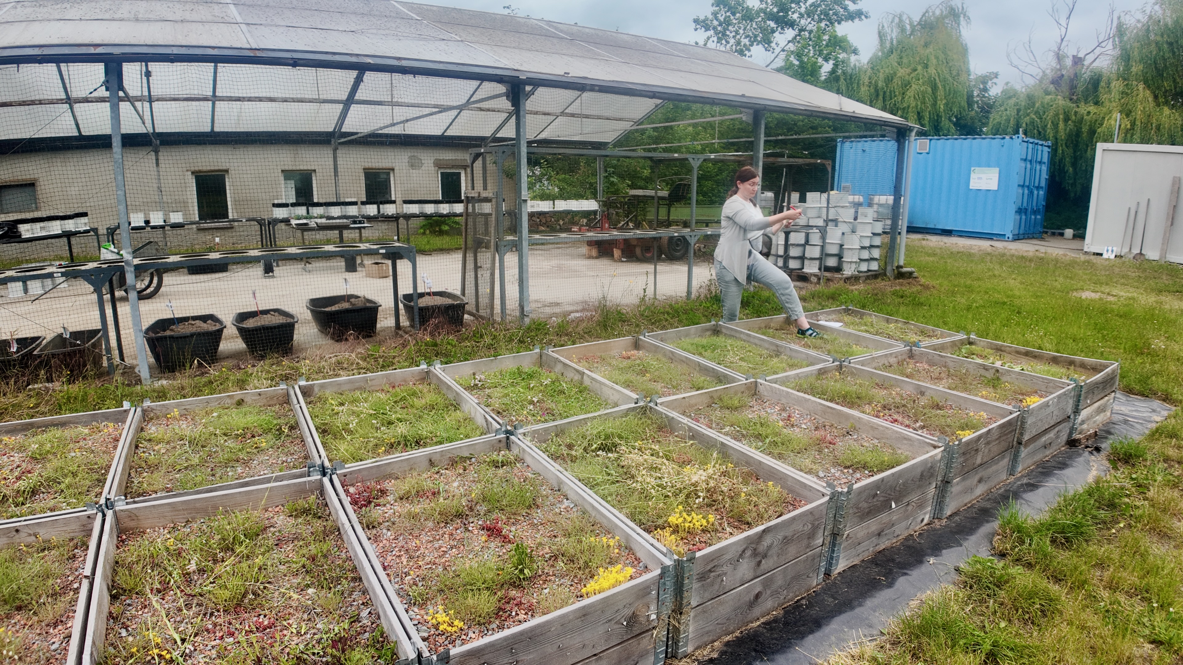 🌱 Unser innovatives Begrünungssystem 