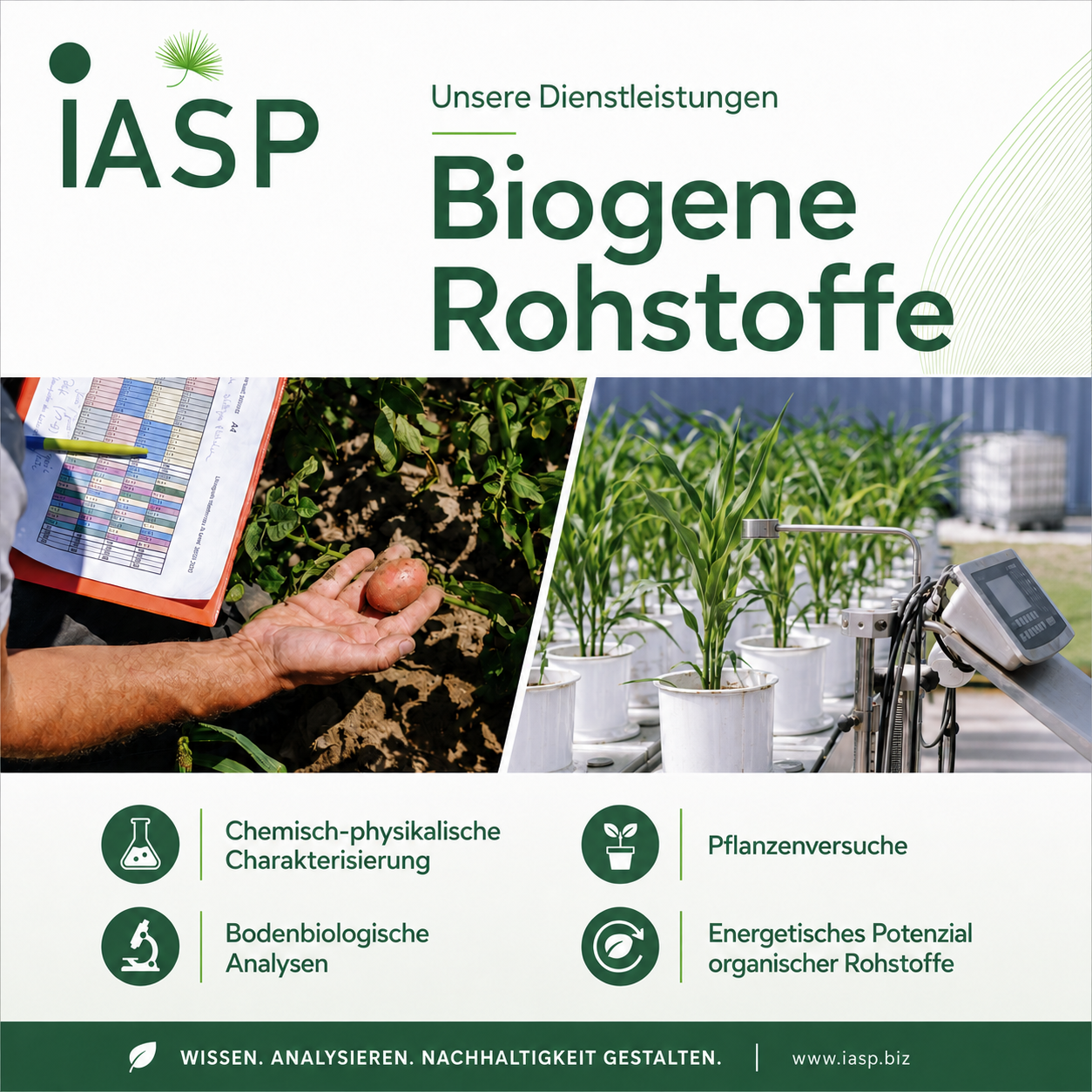 🌱 Unsere Dienstleistungen
