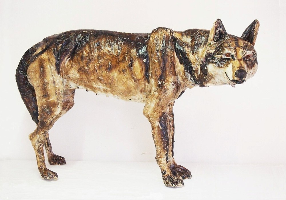 Benjamin: A Wolf, but in a Good Way