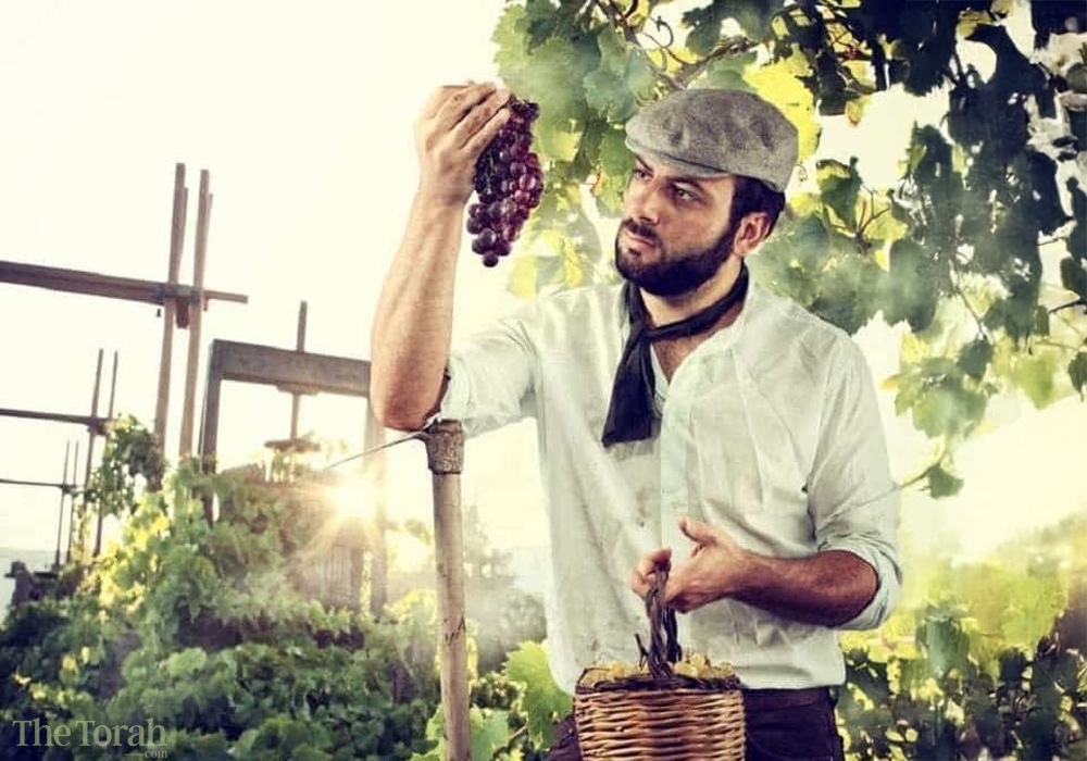 The Color of Judah’s Eyes