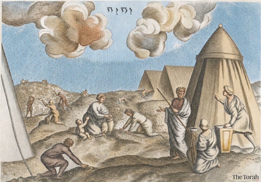 A Testy YHWH