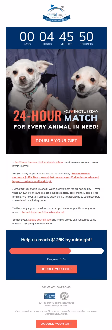 Giving Tuesday matching gift example