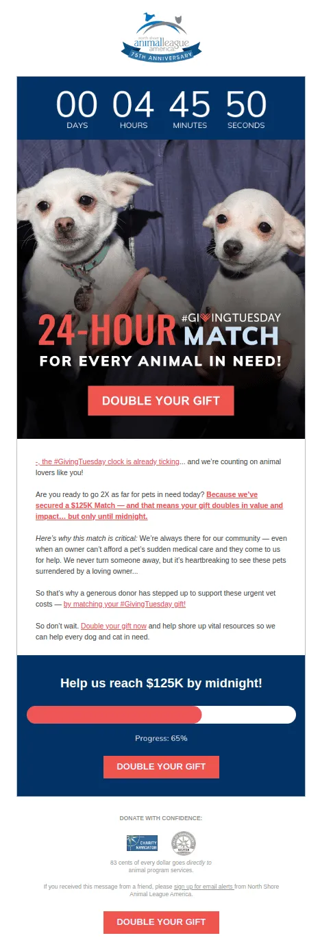 Giving Tuesday matching gift example