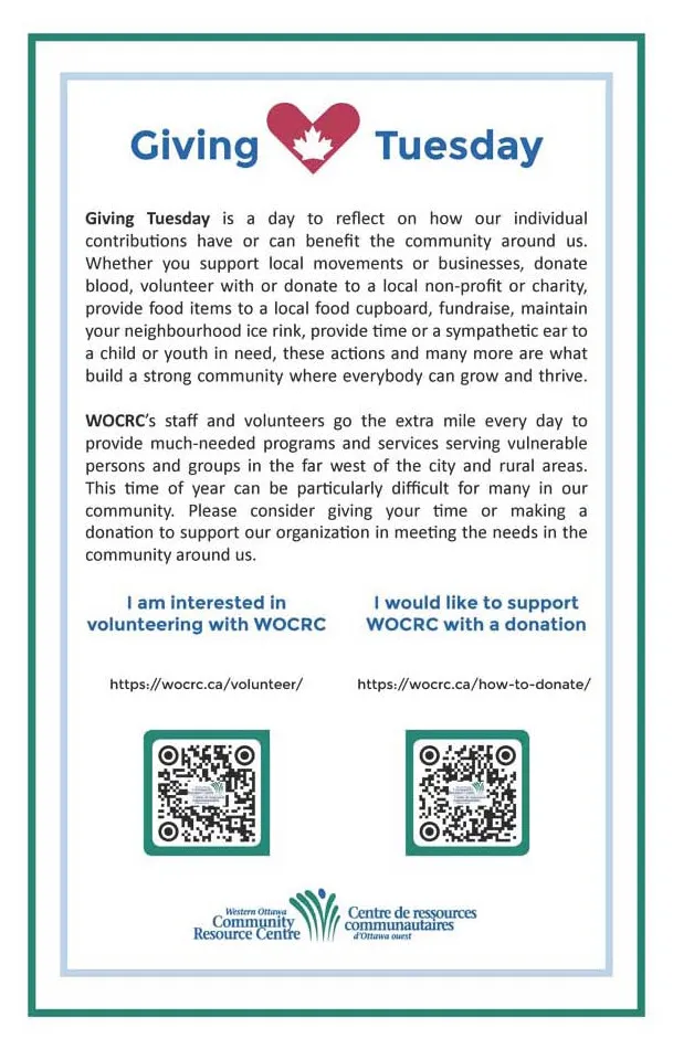 Giving Tuesday volunteer example