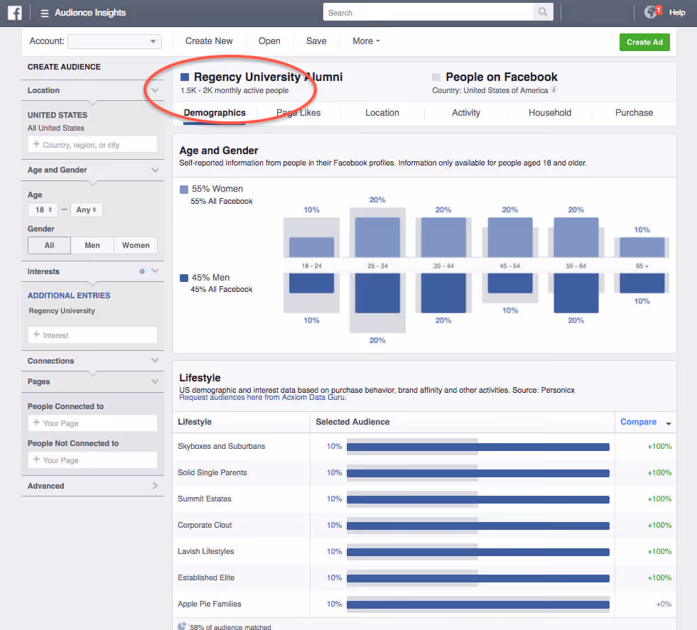 facebook-audience