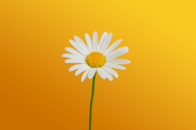 25+ Spring Fundraiser Ideas That Actually Work in 2026
