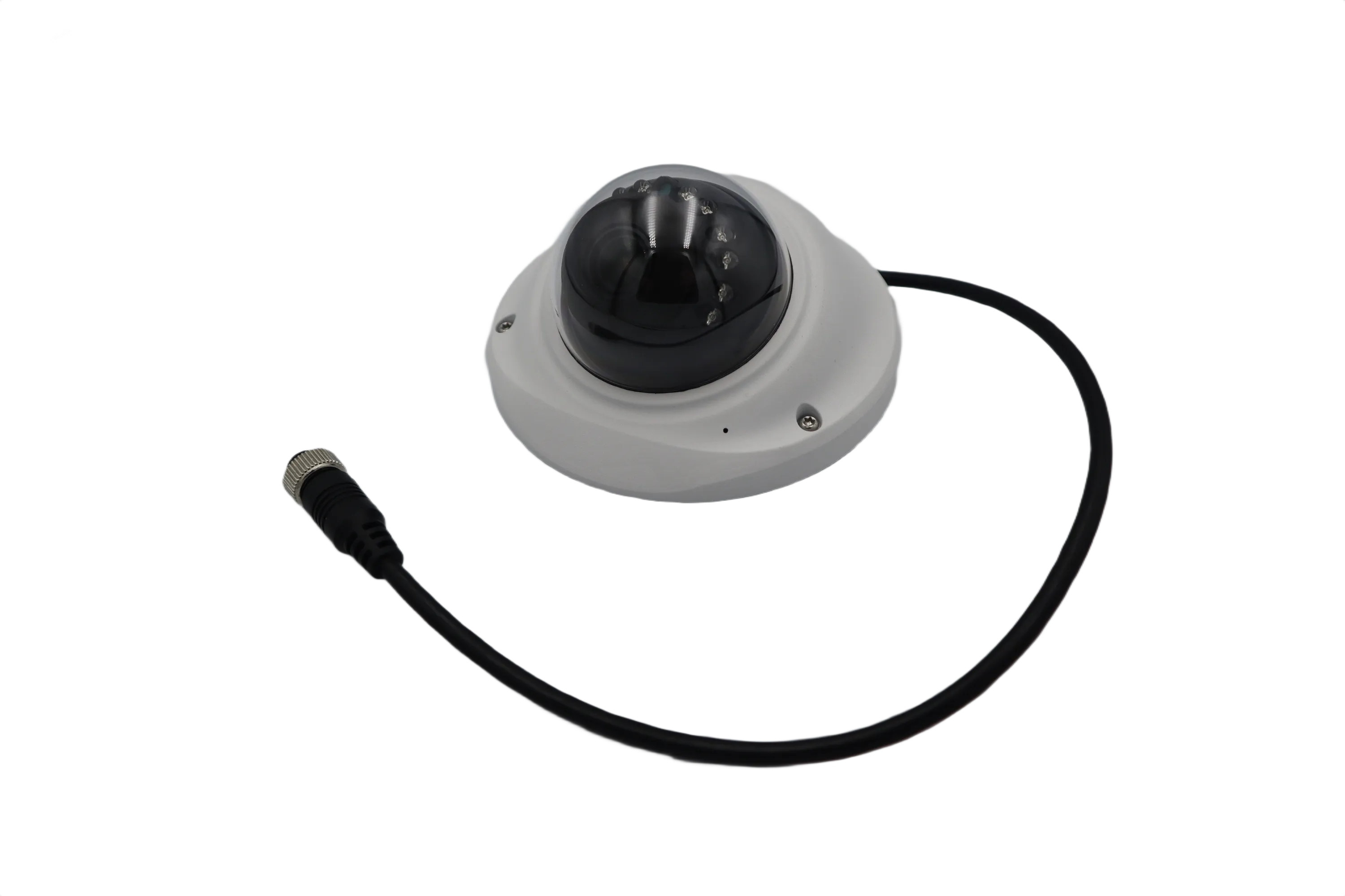 1080 IP Dome Camera With Audio