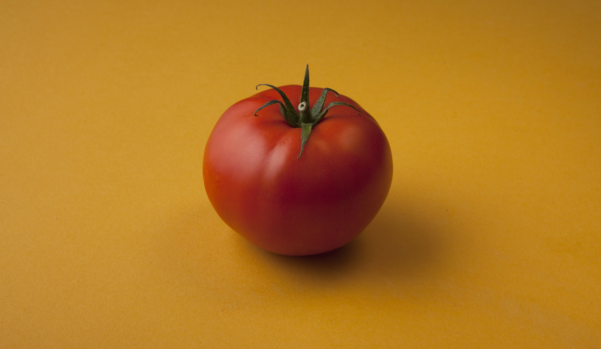 Tomato still life