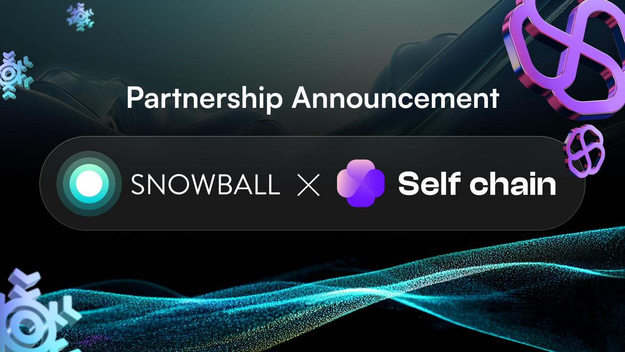 Snowball x Selfchain: One Name. One Intent. One Future.