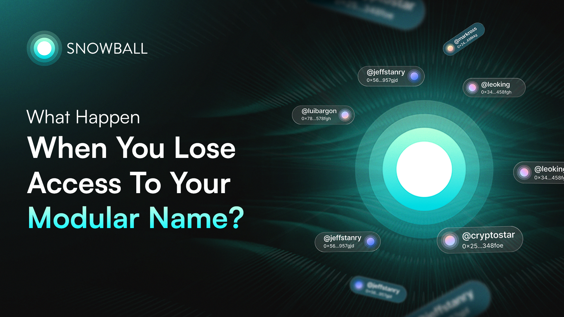 What Happens If You Lose Access to Your Snowball MNS Username?