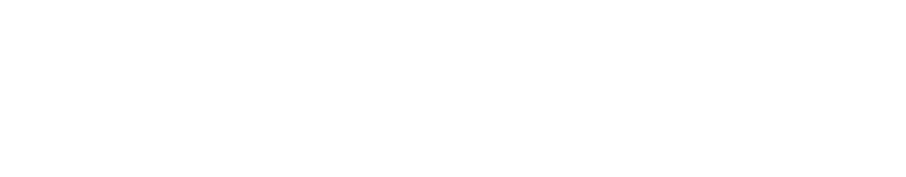 The Injectionist & Aesthetics