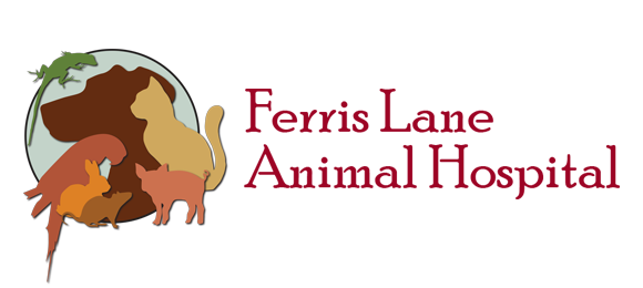 Ferris Lane Animal Hospital