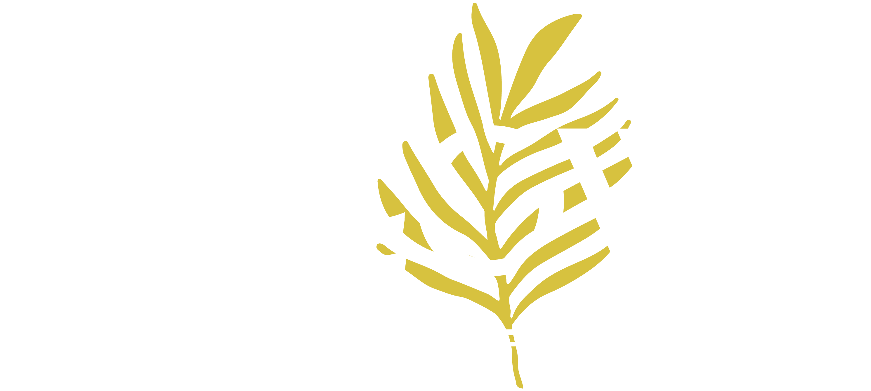 Willows Realty Group