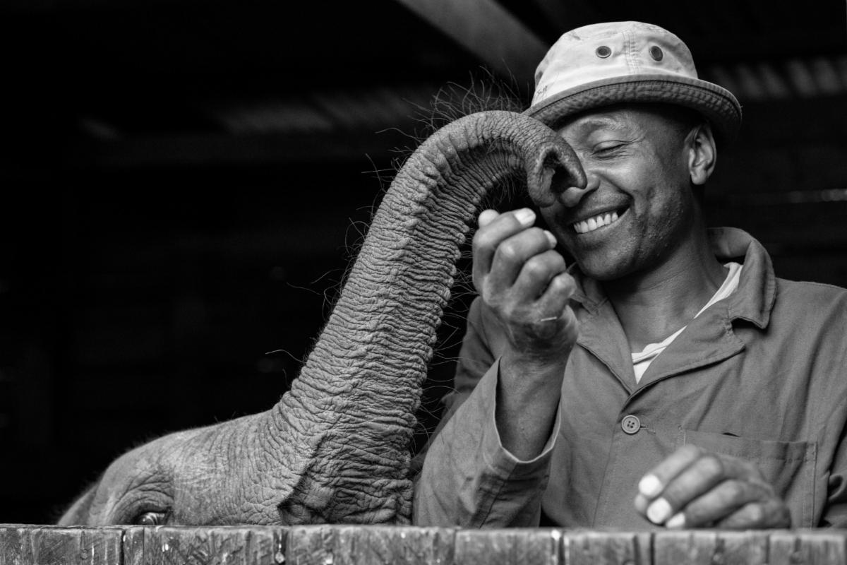 Happy World Elephant Day!