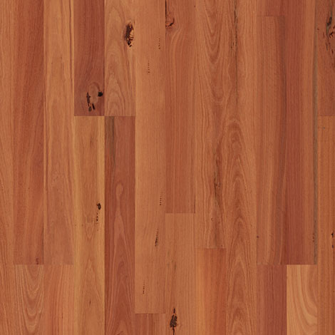 alpha flooring timber flooring