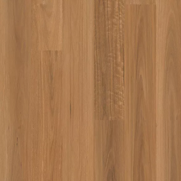 alpha timber flooring spc