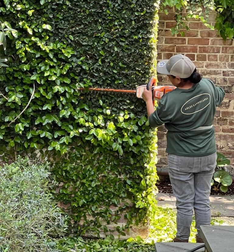 Ables Landscapes installation and maintenance worker