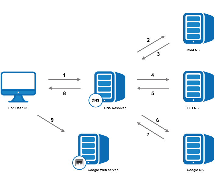 DNS Lookup 