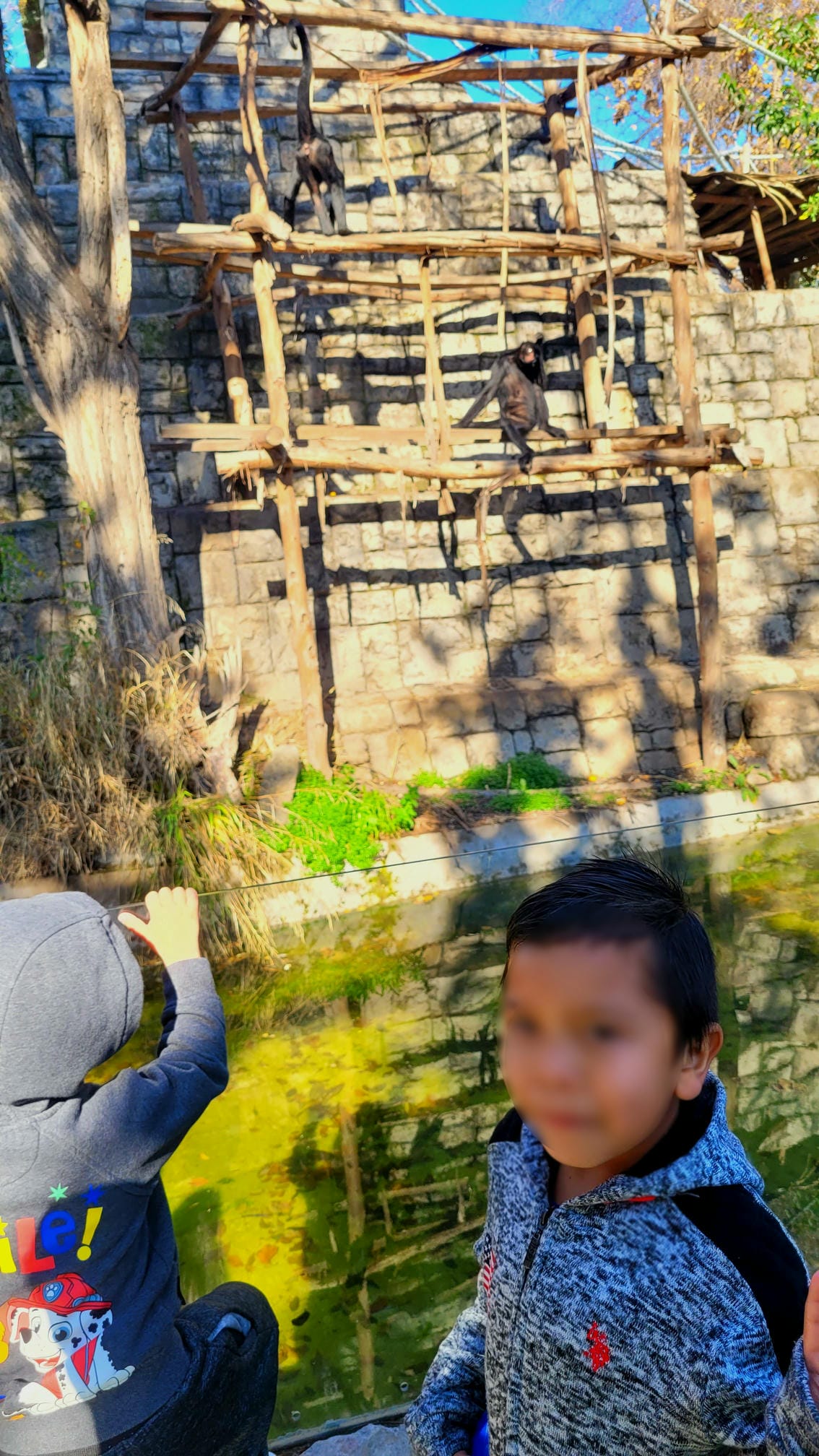 niños en buin zoo