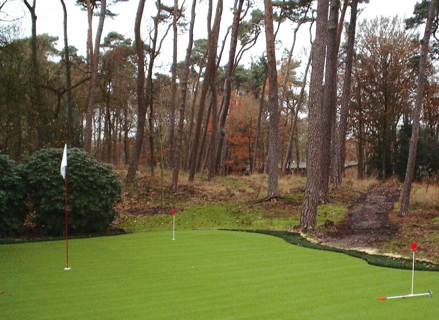 HyperGrass Golf At Home