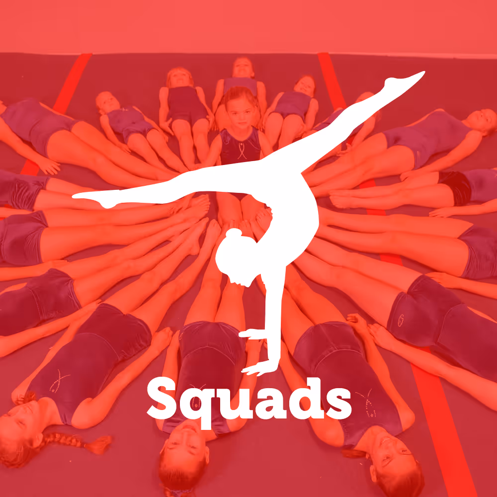 Treasure Gymnastics Squad Icon
