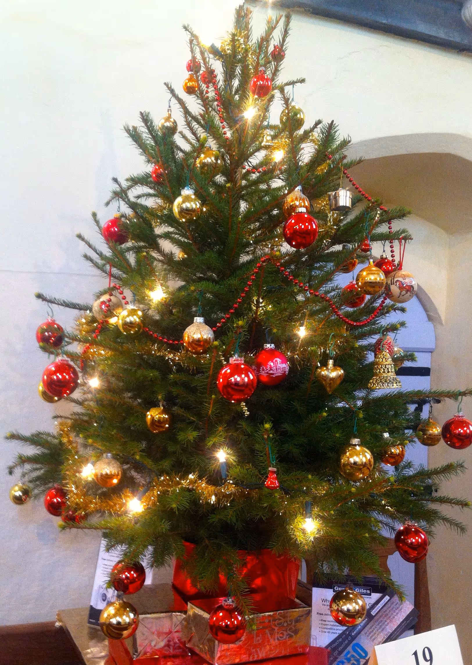Christmas Tree Festival