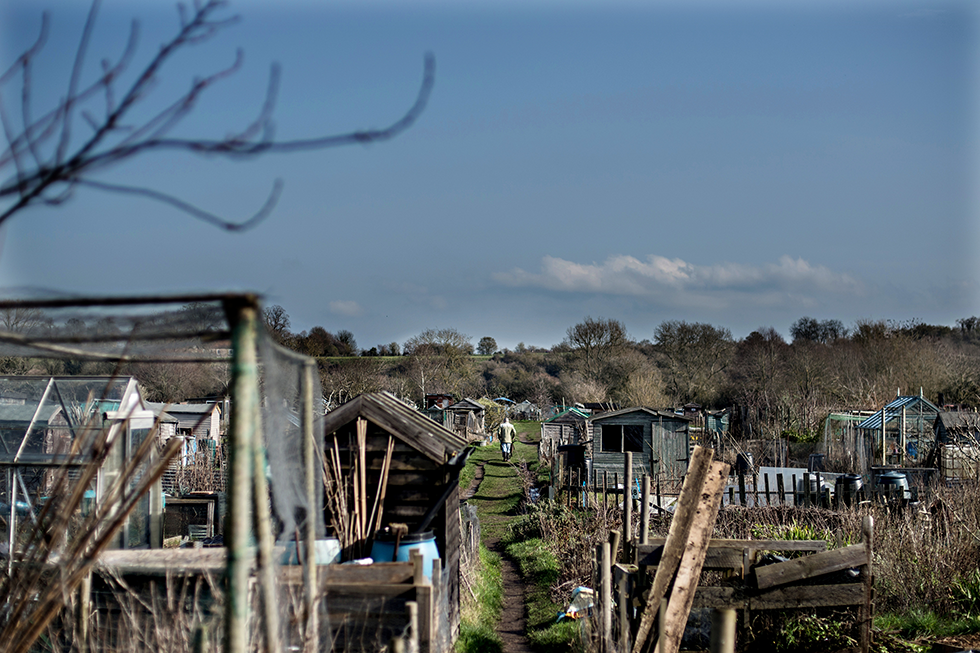 Allotments