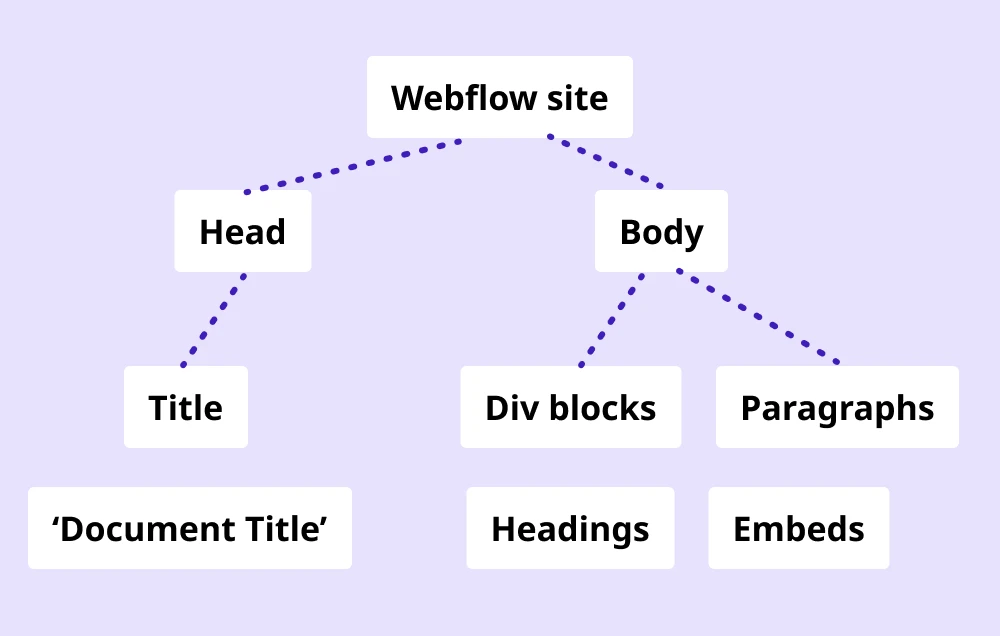 Infographic illustrating the Webflow DOM as a tree with various website elements as branches.