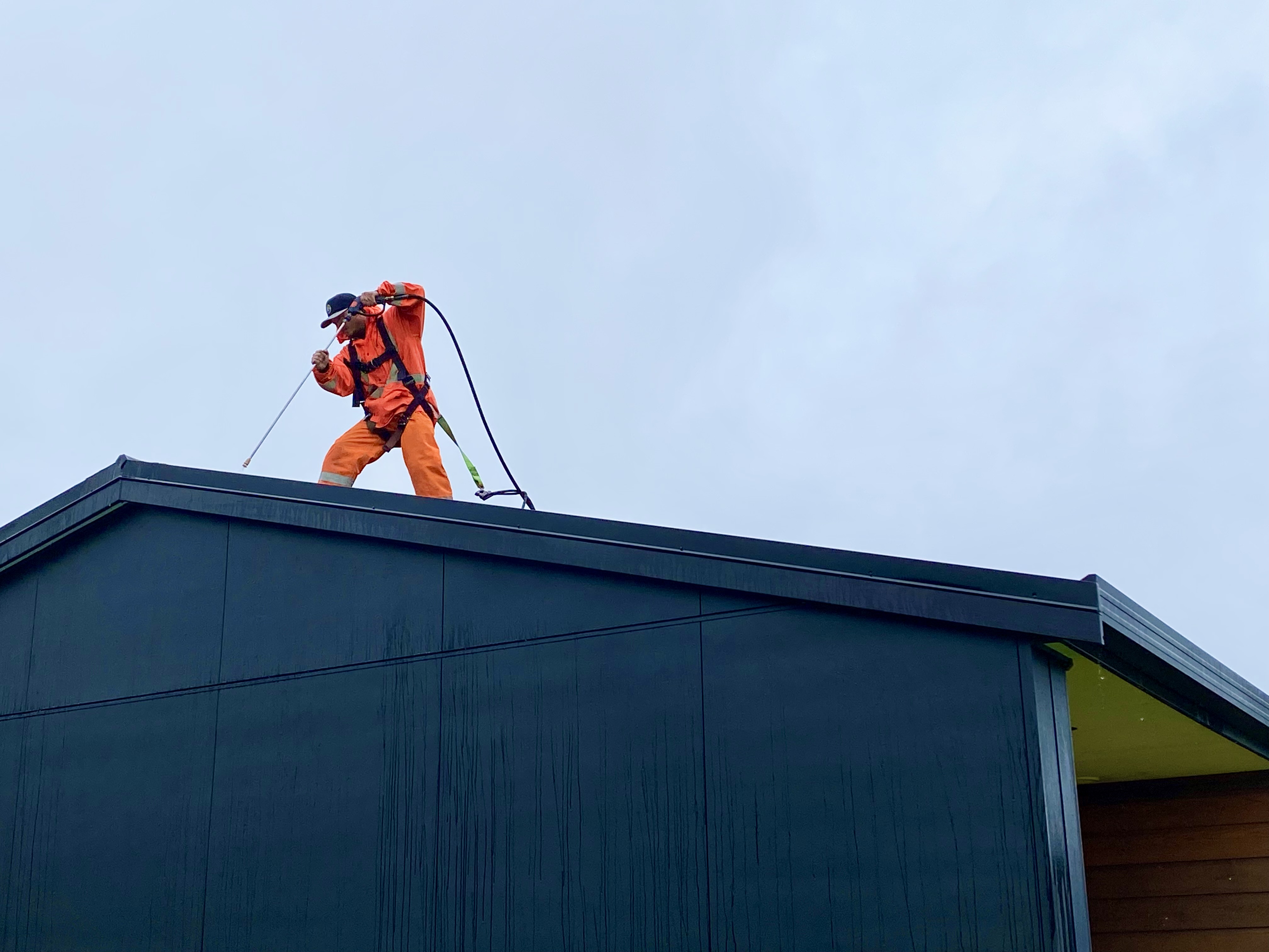 Professional roof cleaning service with technician wearing safety harness on black residential home roof