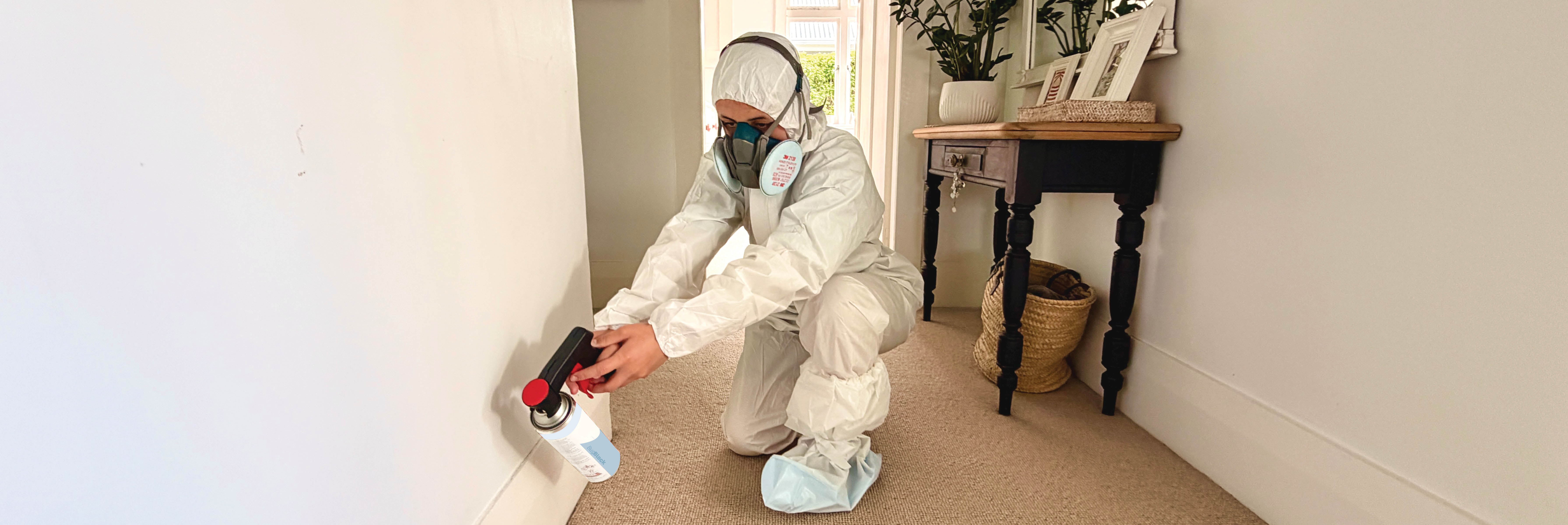 Blast Away Guys technician wearing protective equipment applying BugBlock interior insect treatment along a skirting board in a Northland home.