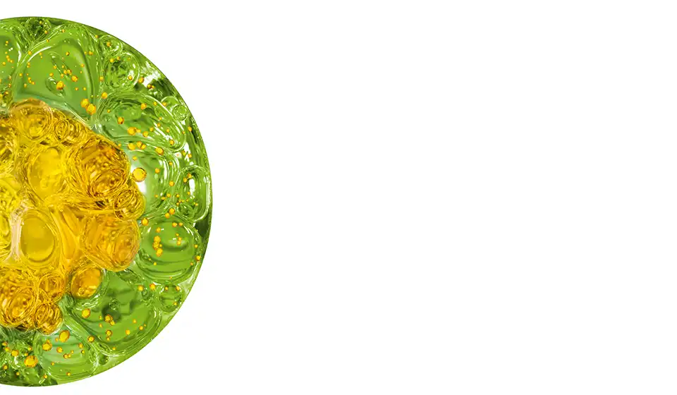 Fructis hair filler