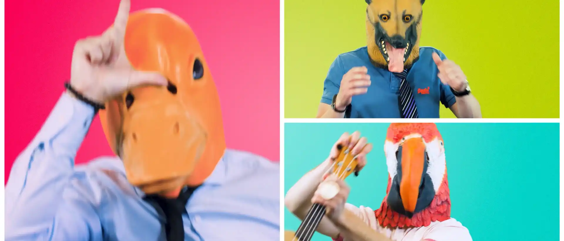 Entreprise Dimension Data