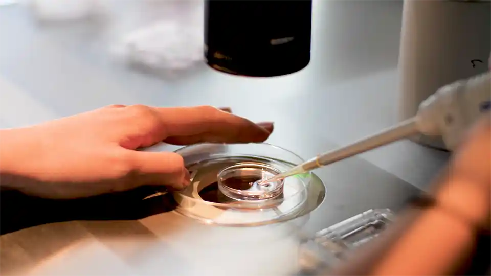 PMA à la Clinique de La Muette