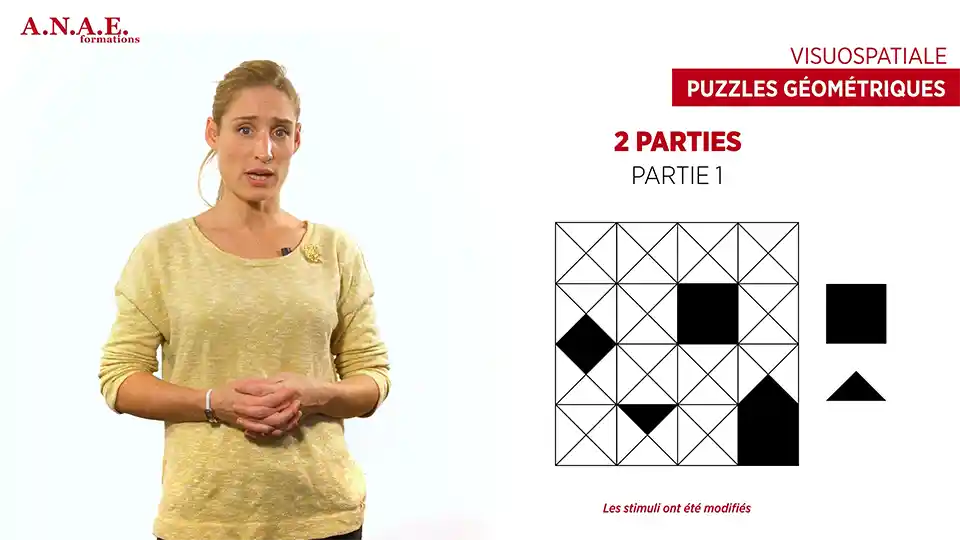 Formation puzzles géométriques - Nepsy